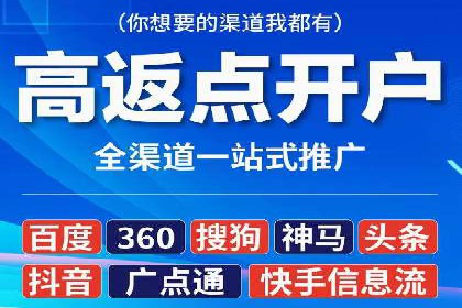 百度竞价推广公司经典案例解析：广告投放策略的智慧